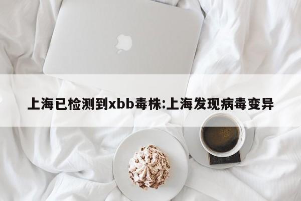 上海已检测到xbb毒株:上海发现病毒变异