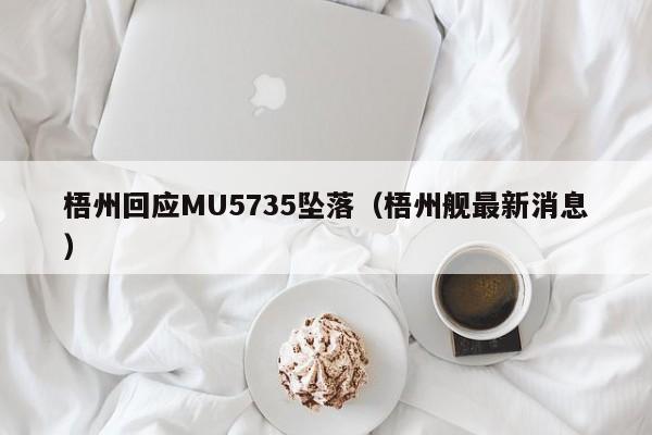 梧州回应MU5735坠落(梧州舰最新消息)